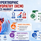httpswww.24lifesciences.com 2026 06 29T151705.716
