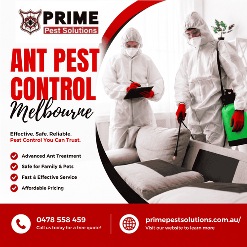 Ant pest control image.png