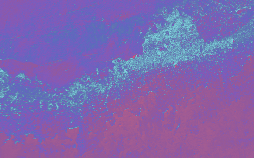 temp.png
