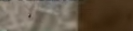 chrome 2frWpL3OA5.png