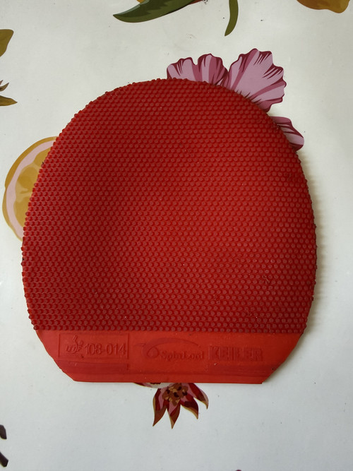C5FBwq7.md.jpg