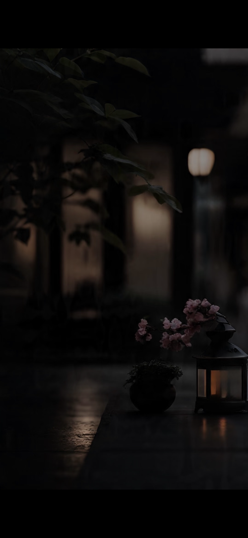 IMG 4854.png