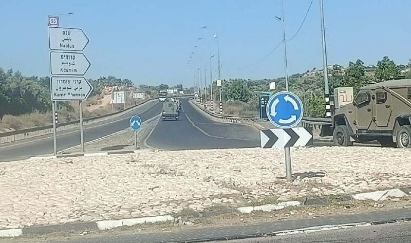 صورة الخبر