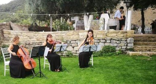 string quartet wedding italy trio 4.jpg