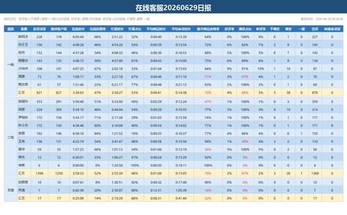 在线客服日报 20260629.2