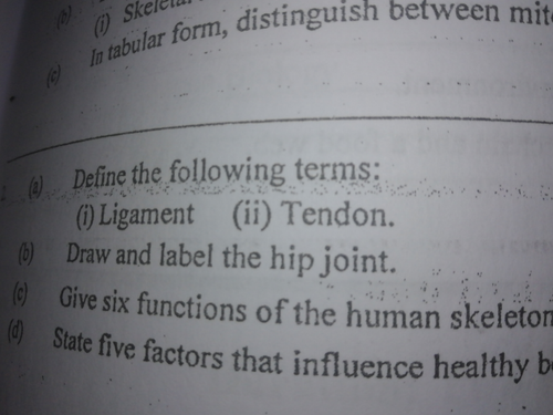 temp.2