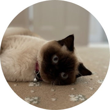 IMG 20260630 091140.png