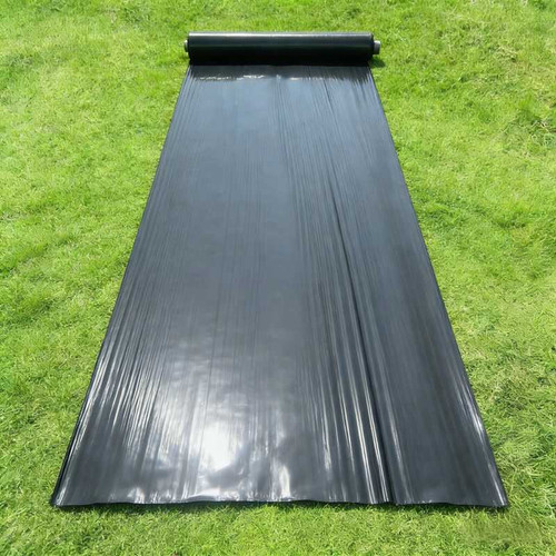 black11 small.jpg