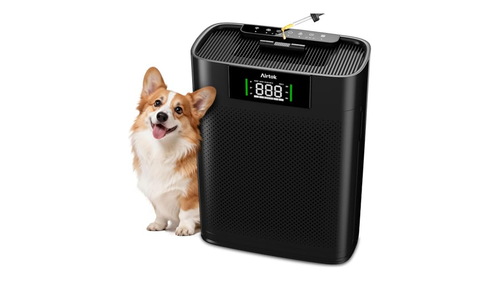 cb259229c2e2.png