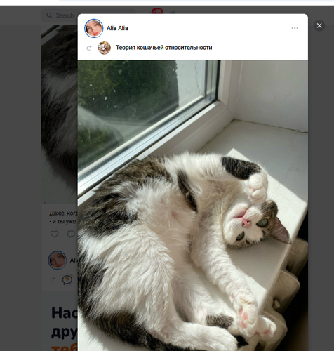 Screenshot 5.png