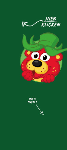 E Vermarktung Kisok Mode Image.jpg