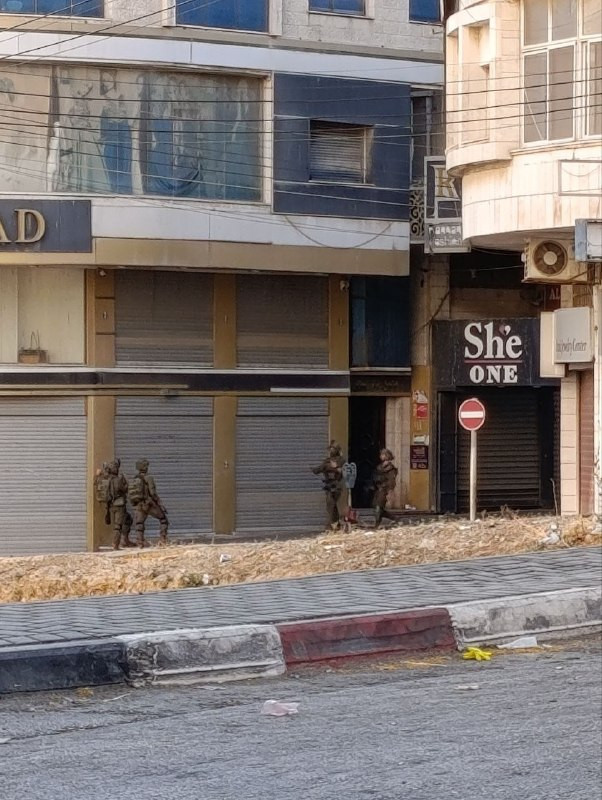 صورة الخبر