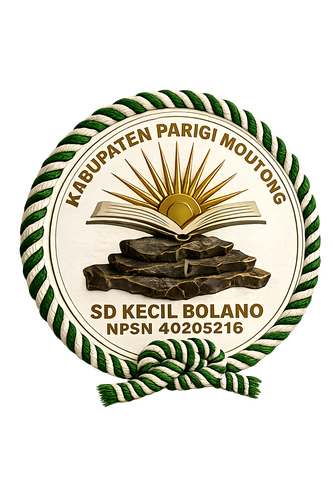 loog sdk bolano 3D.png