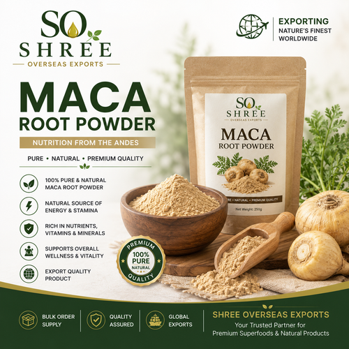 Maca Root Powder Manufacturer Your Trusted Partner for Premium Quality Bulk Supply.png