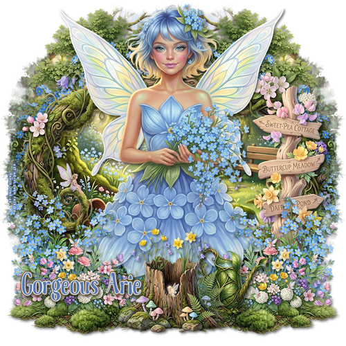 ttt21st 27thjune Gorgeous Arie.png
