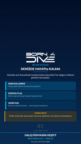 born4dive info story 1782799255.jpg