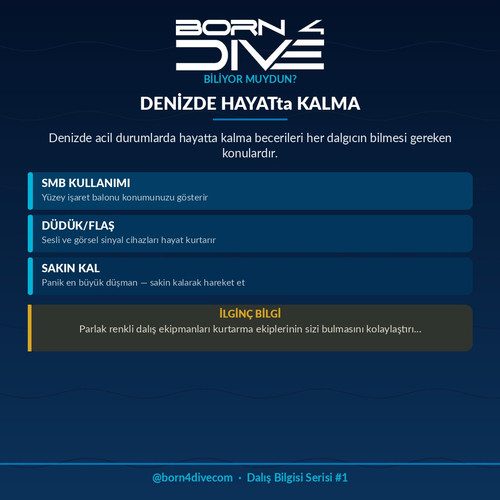 born4dive info post 1782799255.jpg