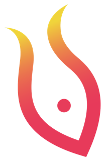 logo colorido copiar cópia Pequena.png