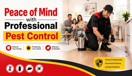 Pest Control Croydon for Cleaner, More Comfortable Spaces.png