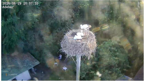 MWSnap180.jpg