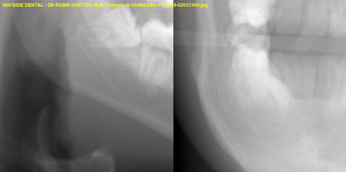 Bull,Thomas G VXIMAGES 1122469 02037400.jpg