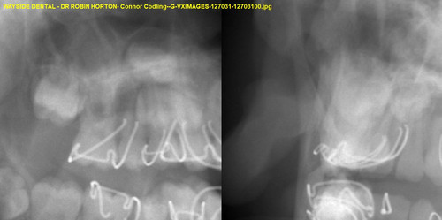 Connor Codling G VXIMAGES 127031 12703100.jpg