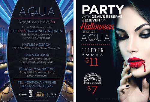 RDFL 3799383 Aqua.jpg