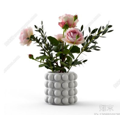 image.1