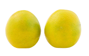 laranja pera.2