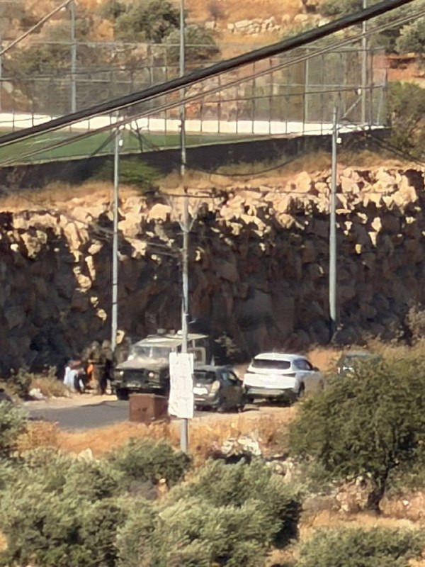 صورة الخبر