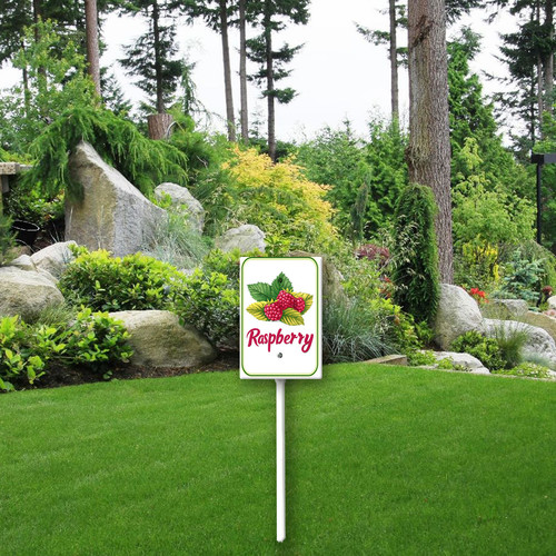 raspberry 001 2.jpg