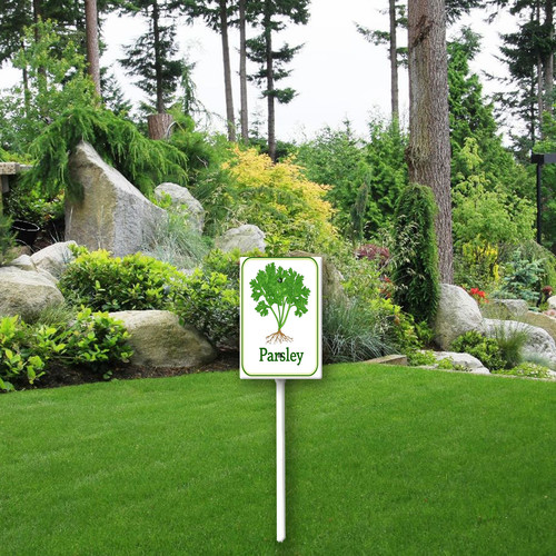 parsley 001 2.jpg