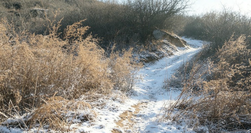 95c0688e4077.jpg