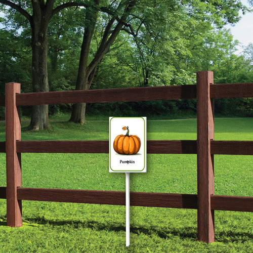pumpkin 001 1.jpg