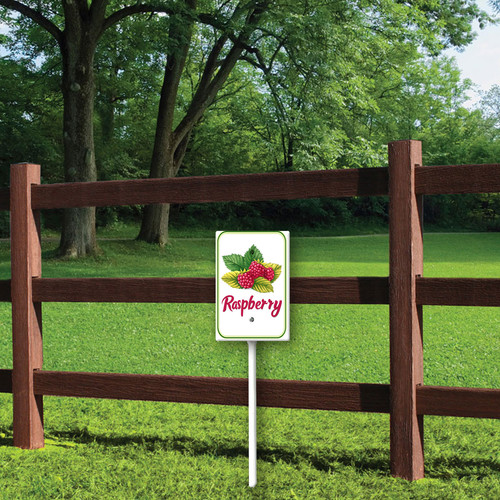 raspberry 001 1.jpg