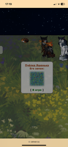 IMG 3926.png