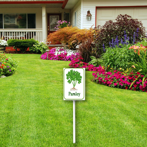 parsley 001 3.jpg