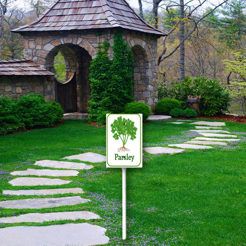 parsley 001 4.jpg