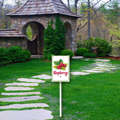 raspberry 001 4.jpg