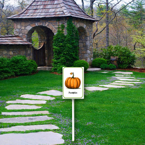 pumpkin 001 4.jpg