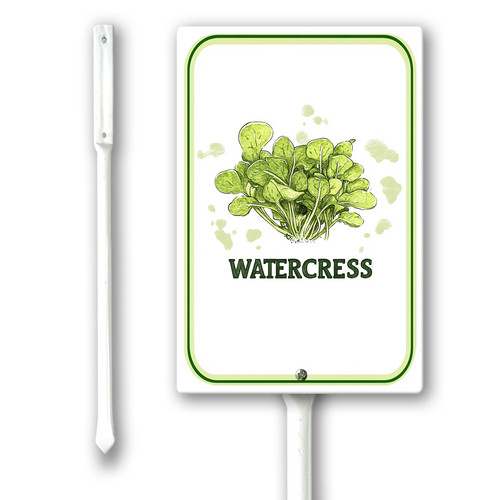 watercress 001.jpg