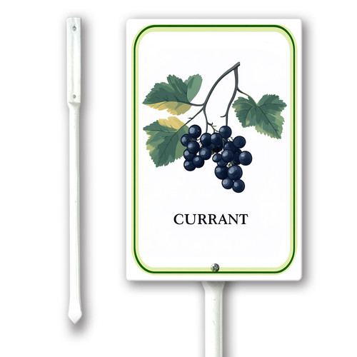currant 001.jpg