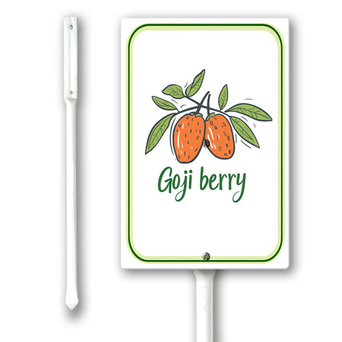 goji berry.jpg