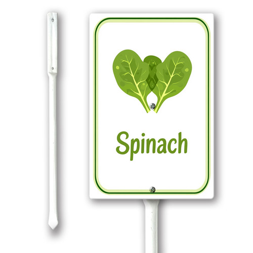spinach 001.jpg