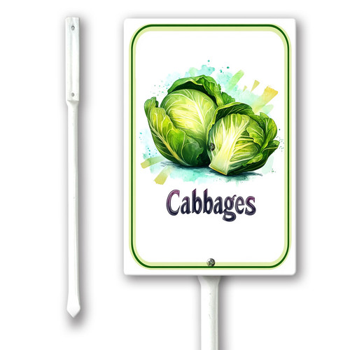 cabbages 001.jpg