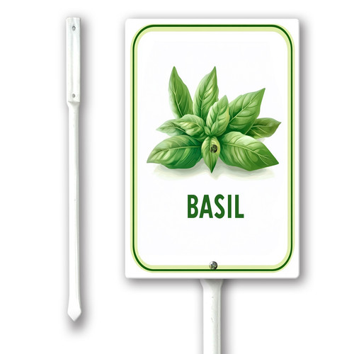 basil 001.jpg