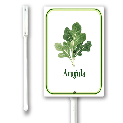 arugula 001.jpg