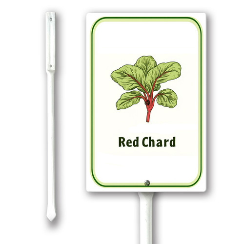 red chard 001.jpg
