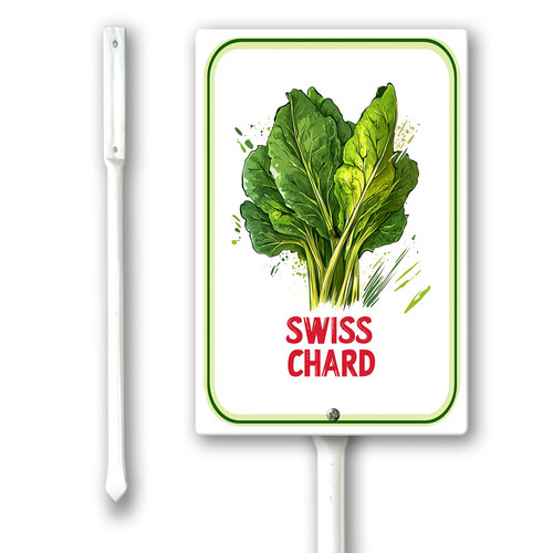 swiss chard 001.jpg