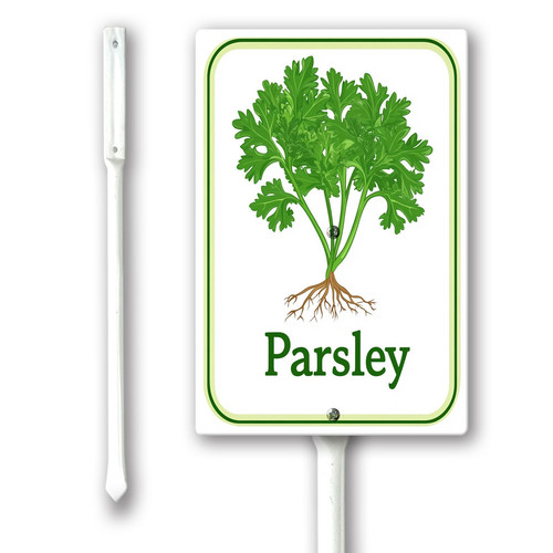 parsley 001.jpg